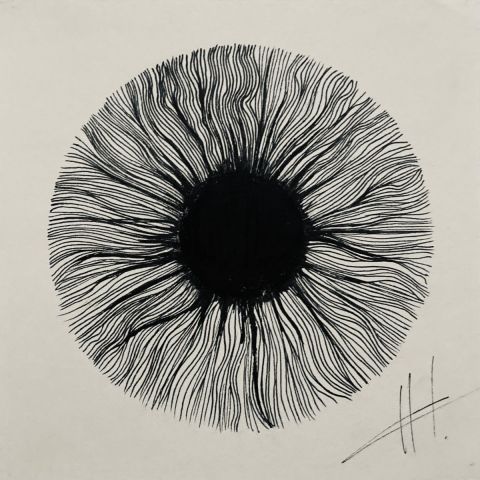 Iris. - Dessin - HK 