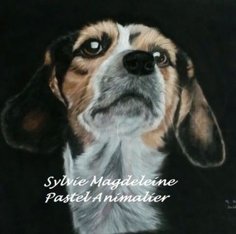 le beagle - Peinture - sylvie magdeleine