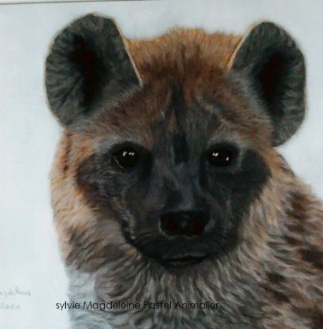 hyène tachetée - Peinture - sylvie magdeleine