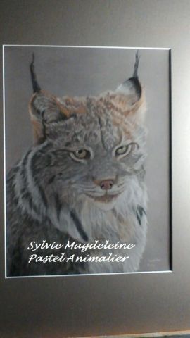 L'artiste sylvie magdeleine - le lynx