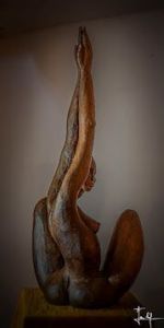 Sculpture de dinah goldstein: Femme flamme