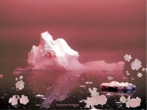Art_numerique de Françoise DELEGLISE: fleurs de glace