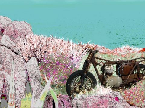 L'artiste Françoise DELEGLISE - la moto abandonnée
