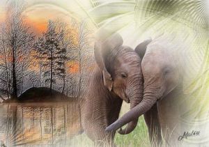 Artiste Malougraphisme