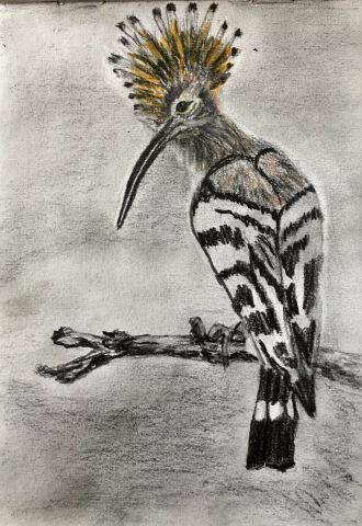 L'artiste jean pierre MALLET - L’oiseau Houppette