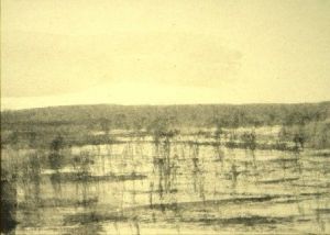 Voir cette oeuvre de cornelius: brume et marais