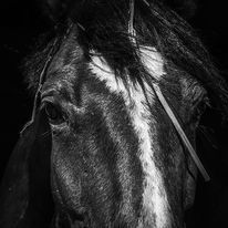 Artiste Jennifer Del Pino