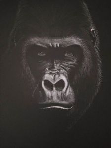 Voir cette oeuvre de Nenette: Gorille 1