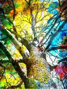 Artiste PIERRE NOUAILLE