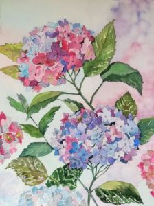 Peinture de Victoria Girerd: Botanique Hortensia / Hydrangea 