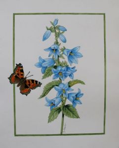 Voir le détail de cette oeuvre: Campanule et papillon petite tortue