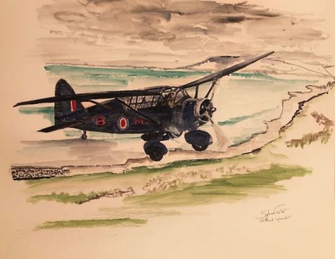 WESTLAND LYSANDER - Peinture - COMETE