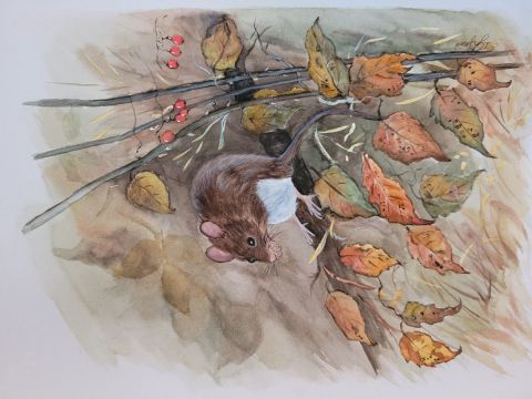 mulot - Peinture - Patricia GIROLDINI HYVERNAT mulot - Peinture - Patricia GIROLDINI HYVERNAT