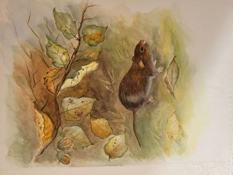 campagnol des champs - Peinture - Patricia GIROLDINI HYVERNAT campagnol des champs - Peinture - Patricia GIROLDINI HYVERNAT