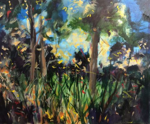 L'artiste JANKI - paysage nocturne