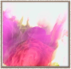 Voir cette oeuvre de Doriane Metz