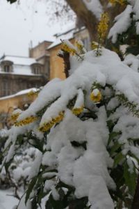 Photo de Doriane Metz