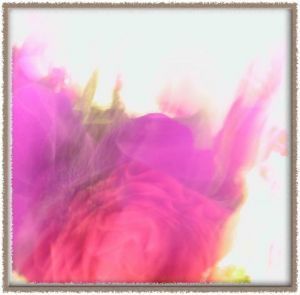 Photo - Doriane Metz