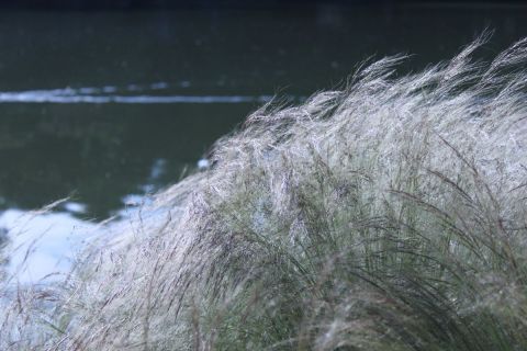 Photo - Doriane Metz