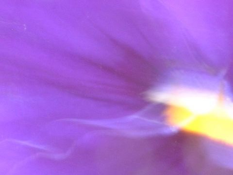 Photo - Doriane Metz