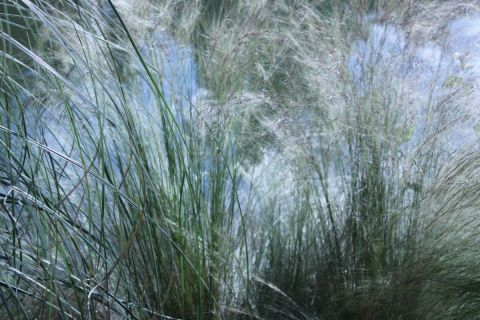 Photo - Doriane Metz