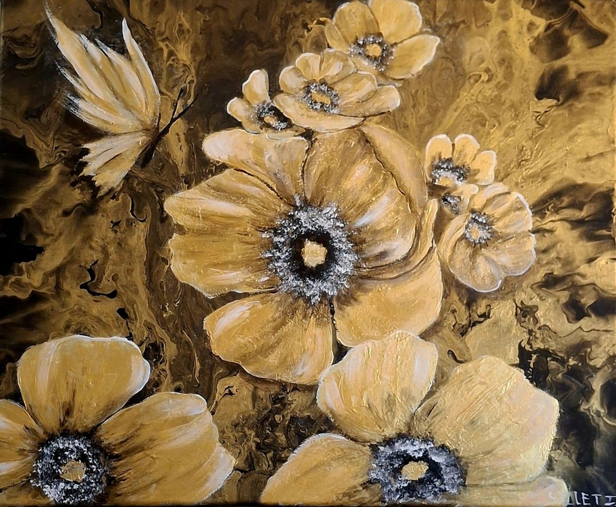 Agrandissement Image