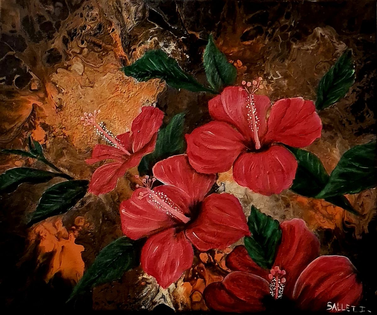 Agrandissement Image