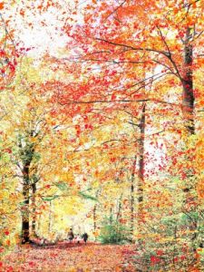 Voir cette oeuvre de Jean-Luc Rousseau: Forêt d'automne