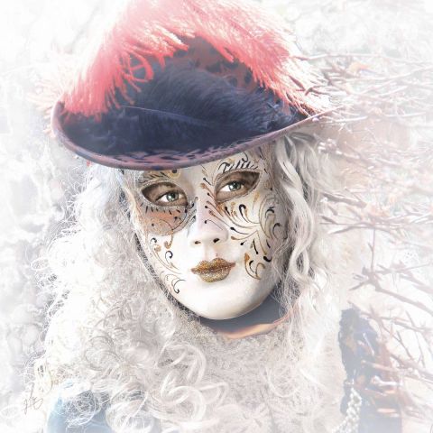 Cache-cache - Photo - Jean-Luc Rousseau