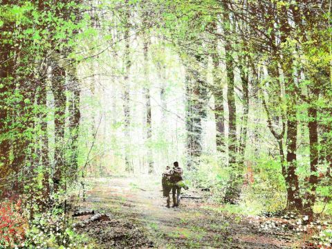 Balade printanière - Photo - Jean-Luc Rousseau