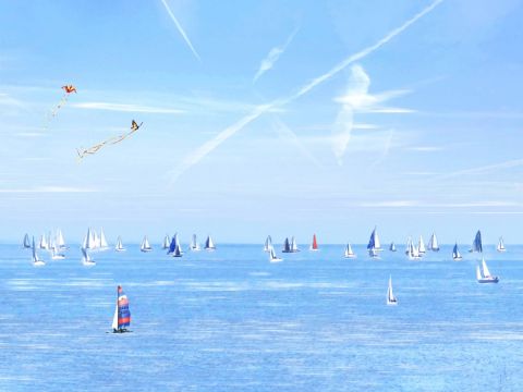 Marine - Photo - Jean-Luc Rousseau