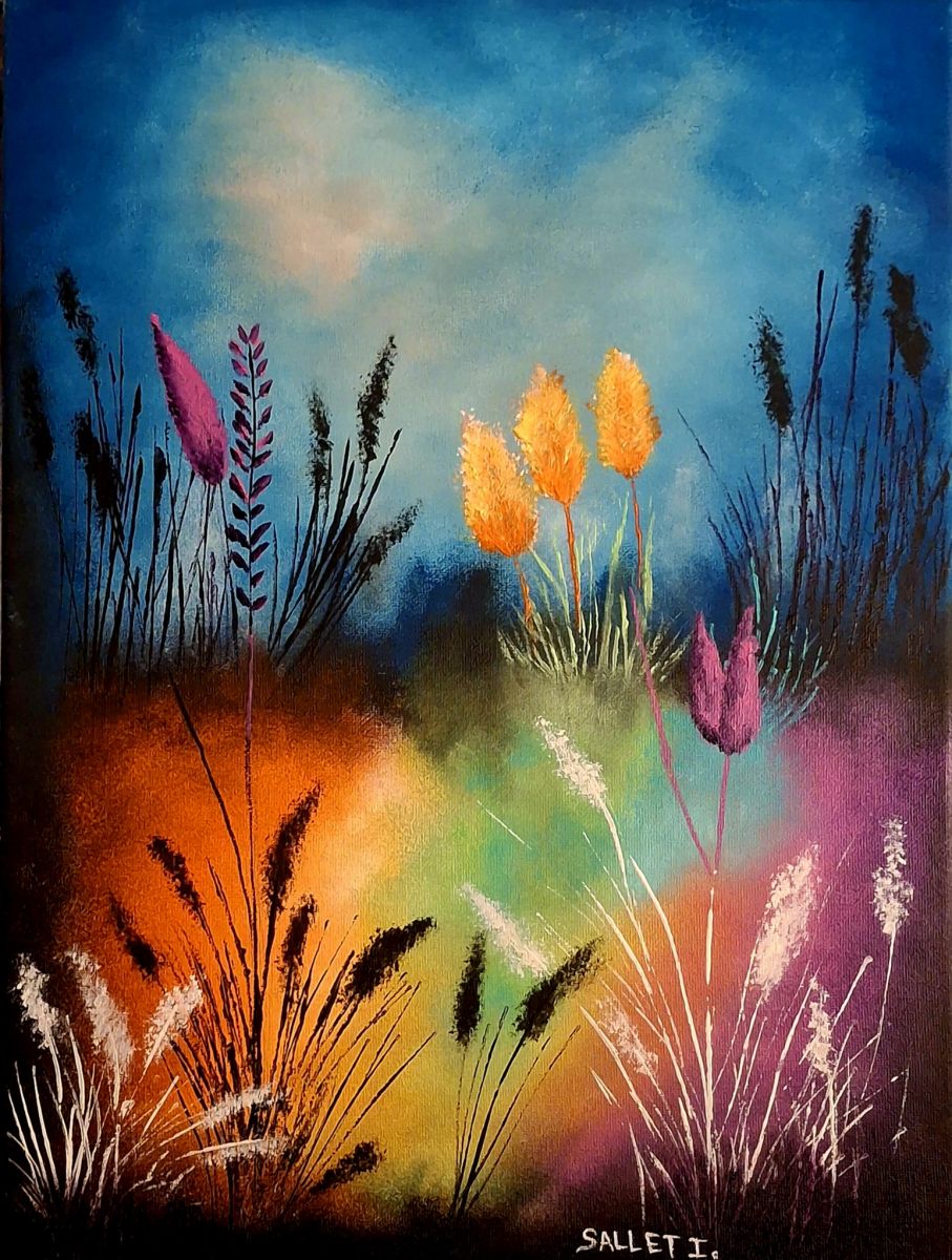 Agrandissement Image