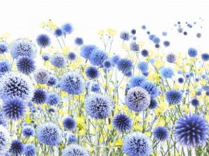 Voir cette oeuvre de Jean-Luc Rousseau: Rêve bleu