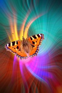 Photo de Dreams 14: Flamenco