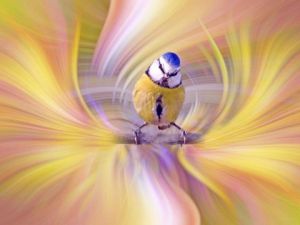 Photo de Dreams 14: Coup d'oeil sur le monde