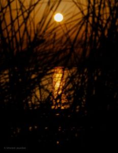 Photo de Vincent Jourdan: Mont St Frieux