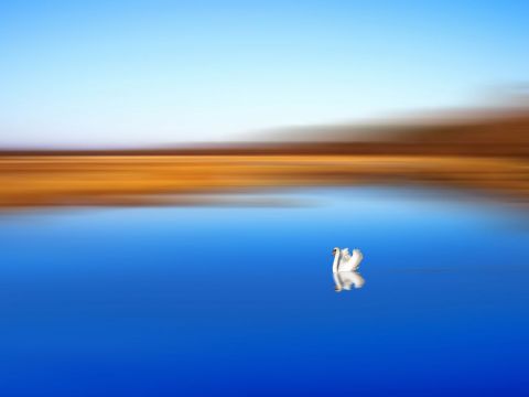 Zen - Photo - Dreams 14