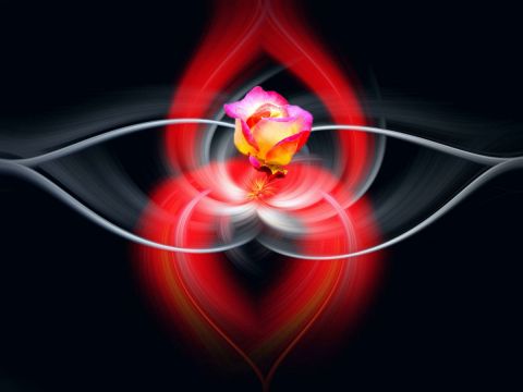 Rouge passion - Photo - Dreams 14