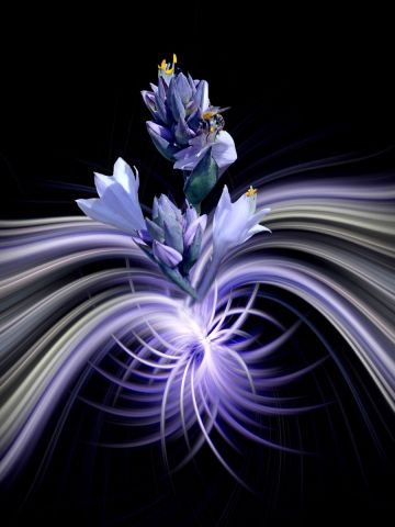 Passion secrète - Photo - Dreams 14