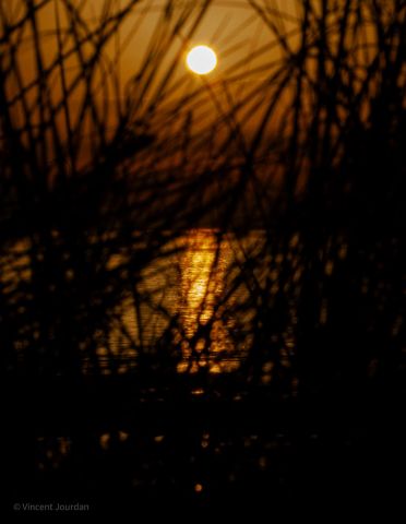 Mont St Frieux - Photo - Vincent Jourdan