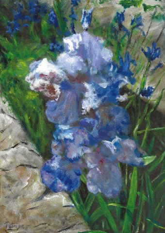 Iris sur le bord de l'eau - Peinture - Patmor