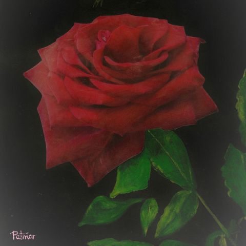 Rose - Peinture - Patmor