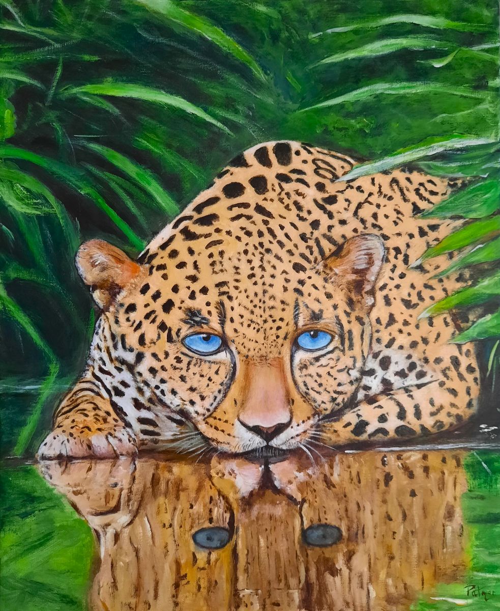 Agrandissement Image