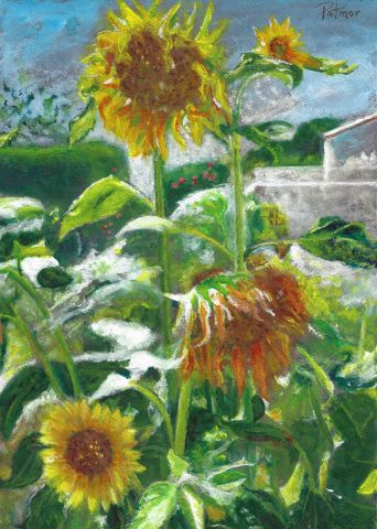 Les tournesols - Peinture - Patmor