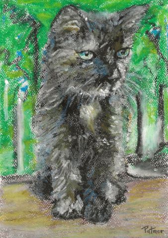 Chaton ébouriffé - Peinture - Patmor
