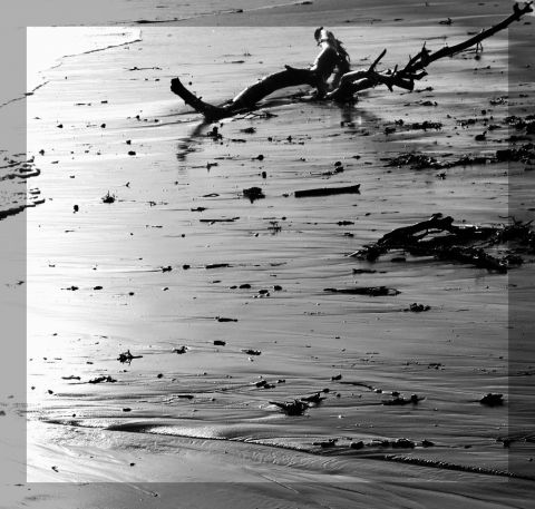 Photo de Doriane Metz : Bord de mer, après la tempête