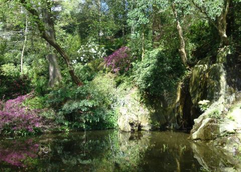 Photo de Patmor : La mare