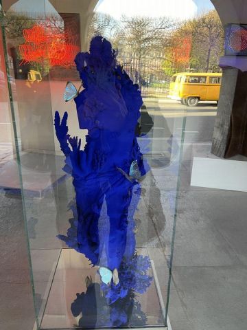 Photo de Doriane Metz : Femme papillon-corail, Galerie Place des Vosges