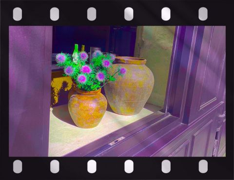 Photo de Doriane Metz : Café Matcha dans le Marais