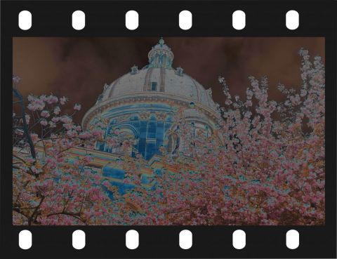 Photo de Doriane Metz : Dôme de l'Institut de France